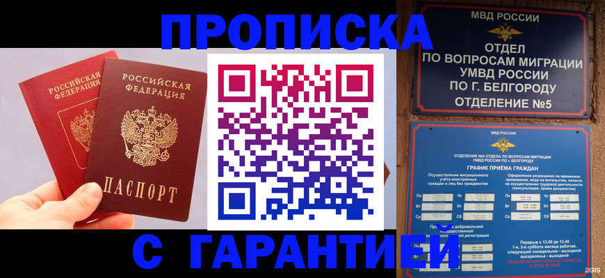 прописка 2025 в Димитровграде